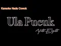 Download Lagu Ula Pucuk Karaoke nada Cowok