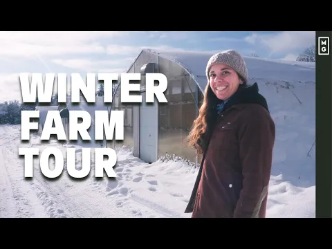 Download MP3 Winter Farming At Its BEST! Farm Tour Of Ferme Des Quatre-Temps (FQT)