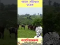 Download Lagu shravan mahinyat | dada kondke
