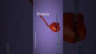 الإستنساخ و الترجمة في أقل من دقيقة 