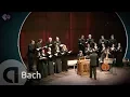 Download Lagu J.S. Bach: Motet BWV 225 'Singet dem Herrn' - Vocalconsort Berlin