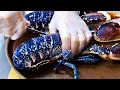 Download Lagu Amerikaans eten - Blauwe Kreeft sashimi Brooklyn zeevruchten New York