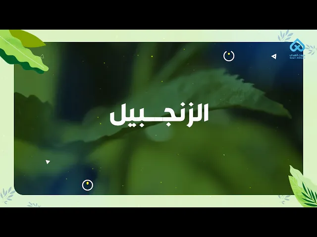 نباتات في القرآن | الزنجبيل 03