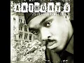 Anthony B  -   Pass The Kutchie feat  Mighty Diamonds   2003