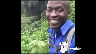 when i dowlode gacha club 18 link in description