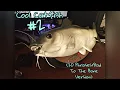 Cool Catfish 20 To The Bone Version