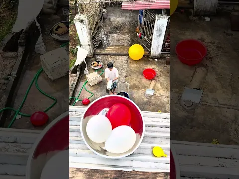 Cơn mưa bóng bay😅🥰😅