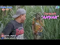 Download Lagu GARAPAN ANYAR || Eps 199 || Cerita Jawa