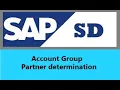 SAP SD Account Group and Partner determination -