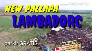 Download DITINGGAL RABI ,AYU ARSITA new pallapa lambadorc MP3