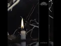 Ritual Hymns - Worm Shepherd
