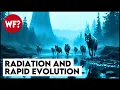 Download Lagu Nuclear Powered Evolution | The Wolves of Chernobyl Reveal Human Potential