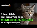 Download Lagu Inilah 5 Janji Allah Bagi Yang Suka Memelihara Kucing Menurut Islam, No. 5 Paling Diharapkan