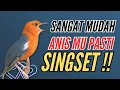Download Lagu 142 | DIJAMIN !! PASTI IKUT BUNYI !! SUARA ANIS MERAH GACOR PANCINGAN TERCEPAT BIKIN BUNYI GACOR 