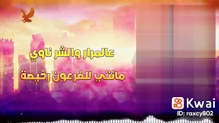 اغنية يا دنيا هاتى كمان هموم ارمى اوجاعك هاتيها 