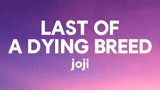 Joji - Last of a Dying Breed (Lyrics)