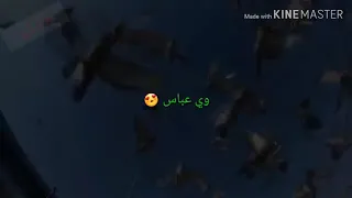 صوت احساس وي عباس باسم الكربلائي 