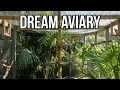 How to Build Your Dream Aviary
