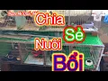 Download Lagu Quốc Mồi- Chia Sẻ Nuôi Bổi Lên Mồi .Bổi bắt về kêu liền .Bổi nhà kêu ra rừng không kêu.