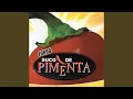 Download Lagu Paixão de Fogo
