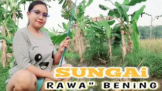 mancing di sungai alam pedesaan di temani pemandangan yang indah