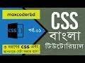 CSS Tutorial For Beginners In Bangla Part 01 Different Type Of CSS