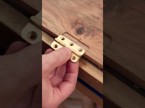 Have you ever seen pistachio wood?