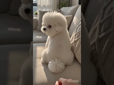 Cute Puppy ke sath masti 😂 #funny #cute