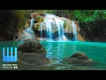 Download Lagu Relaxing Music For Stress Relief, Anxiety and Depressive States • Heal Mind, Body and Soul