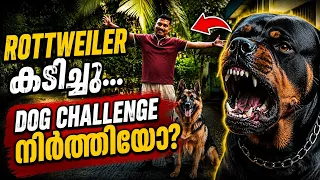 വീണ്ടും ചലഞ്ച്... ഇന്നും കിട്ടുമോ പണി.. Dog challenge 