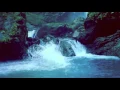 Download Lagu The Retuses - Sagitta