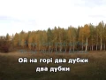 Ой на горі два дубки караоке гурт Експрес