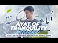 AYAT OF TRANQUILITY - SAKINAH أيات السكينة  Relaxing Quran, Soothe your Soul | Muzammil Hasballah