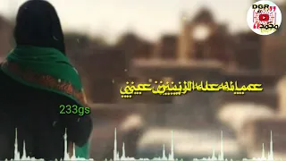 حالات وتس اب    عميانه عله الزينين   عيني من كثر العرف   صار النجف داري   تصميمي دندنها