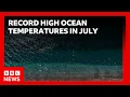 World s oceans hit record-high July temperatures EU s climate monitoring service says BBC News