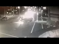 Newark Central Ward Car Crash