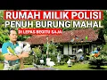 Lagu VIRAL..! RUMAH MILIK POLISI PENUH BURUNG LAGI VIRAL DI JAWA TIMUR 