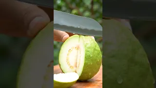 Guava cutting ASMR sounds ????‍↔️???? | #guava #asmr #satisfying #fruitcutting #shorts