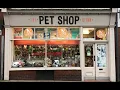 3 Claves al Crear una Tienda de Mascotas