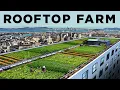 How this Rooftop Grew 20 000 lbs of Food