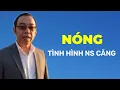 Lagu 💥NÓNG💥 Sao kê, cấm xuất cảnh không yên với Chị Hằng | Products Nhành Trúc 268