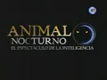 Royal Club en Animal Nocturno - No Hemos Muerto