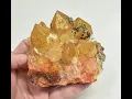3 77 Iridescent SUNSHINE Cactus Spirit QUARTZ Crystal Cluster South Africa Q891