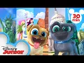 Bingo and Rolly Travel Across America 30 Minute Compilation Puppy Dog Pals Disney Junior