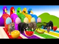 Download Lagu 5 Bebek Raksasa Kartun, Cat \u0026 Hewan Singa, Gorila, Beruang, Harimau, Sapi Hewan Liar Menyeberang Air Mancur