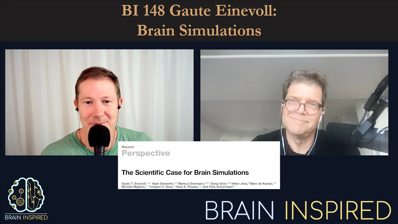 BI 148 Gaute Einevoll: Brain Simulations