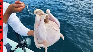 Download FISHING with a CHICKEN! MP3