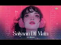 Saiyaan Dil Main - Chill Mix | VDJ Fly & DJ Viju | Vylom