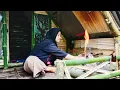 Download Lagu 3 HARI MEMBUAT SHELTER BAMBU DIPINGGIR SUNGAI BARENG ISTRI
