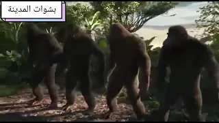 احنا ملوك النزاهة 